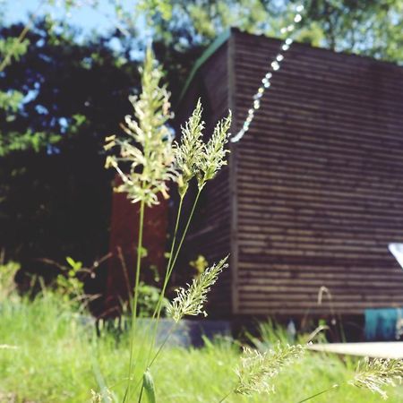 Hotel Tiny House Nouvelle Annonce Boho Ocean Naujac-sur-Mer Exterior foto